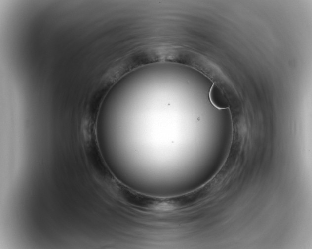 X0000098080218200804110949