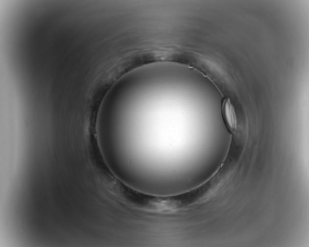 X0000098080221200804110949
