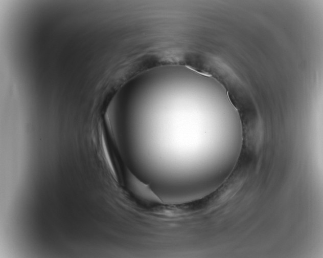 X0000098080229200804110949