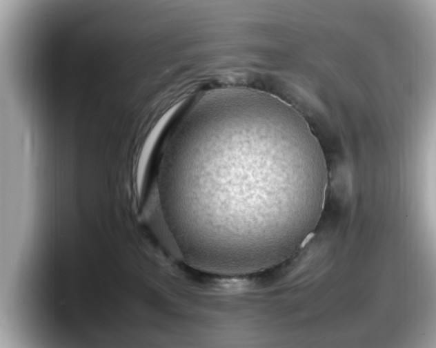 X0000098080233200804110949