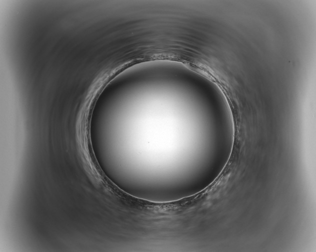X0000098080241200804110948