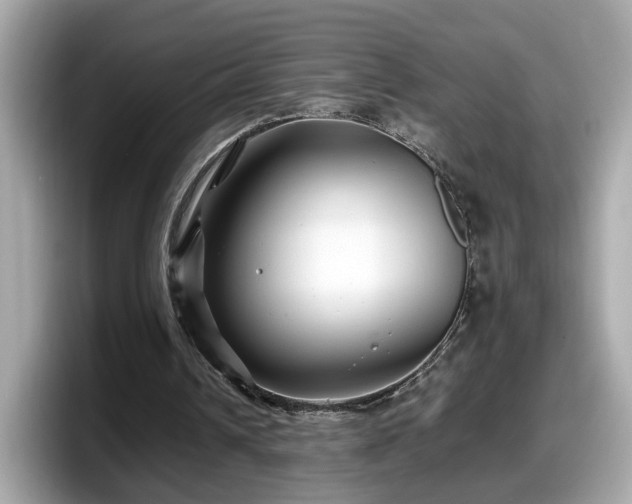 X0000098080242200804110948