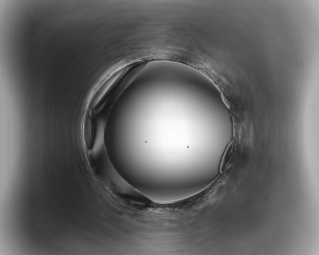 X0000098080244200804110948
