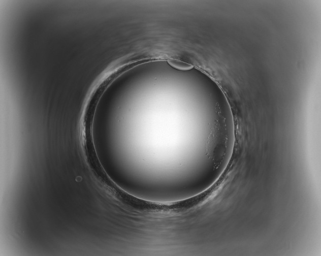 X0000098080246200804110948