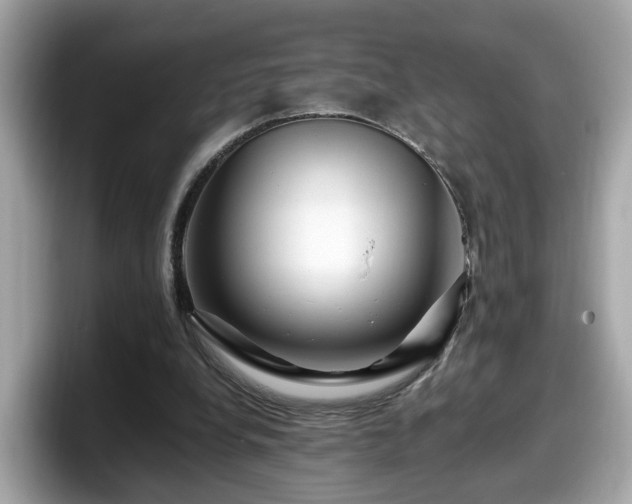 X0000098080248200804110948