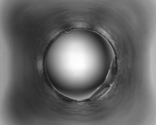 X0000098080249200804110948