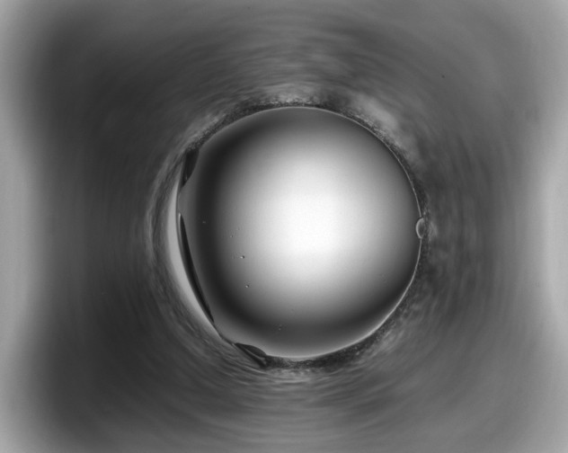 X0000098080250200804110948