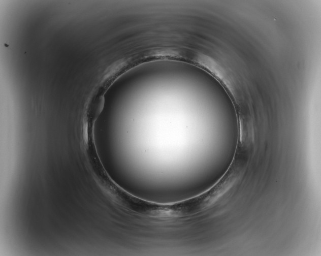 X0000098080253200804110948