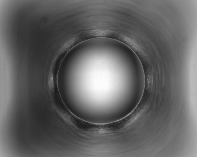 X0000098080254200804110948
