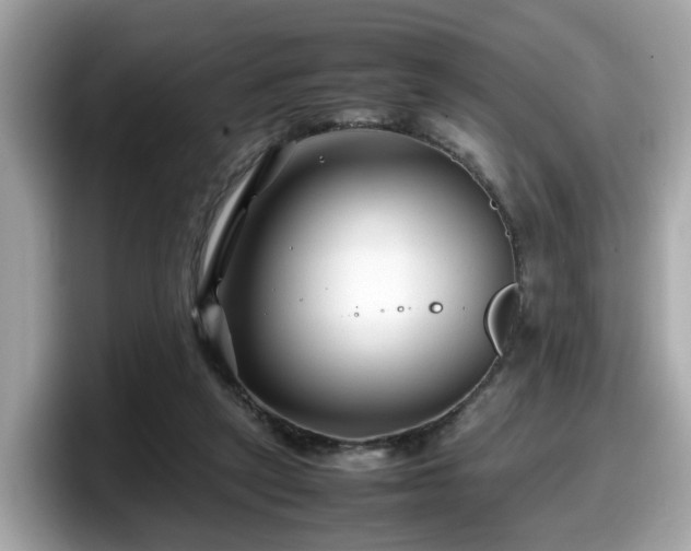 X0000098080257200804110948