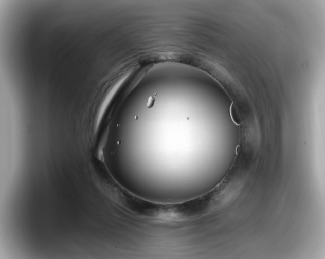 X0000098080262200804110948