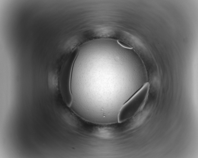 X0000098080268200804110948