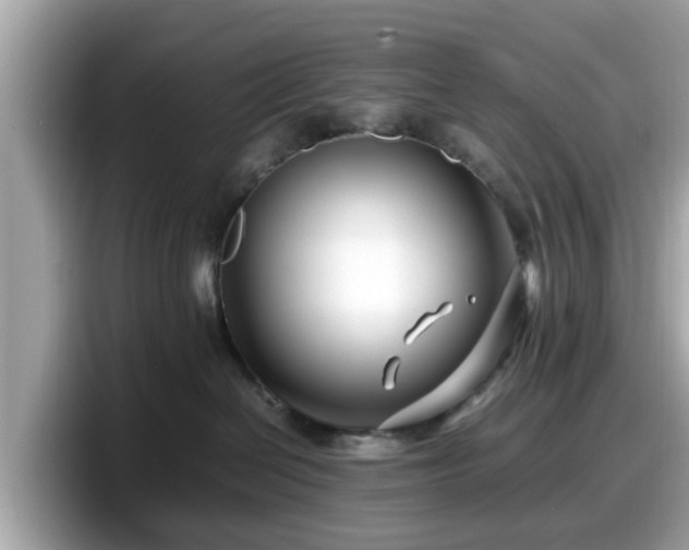 X0000098080286200804110949