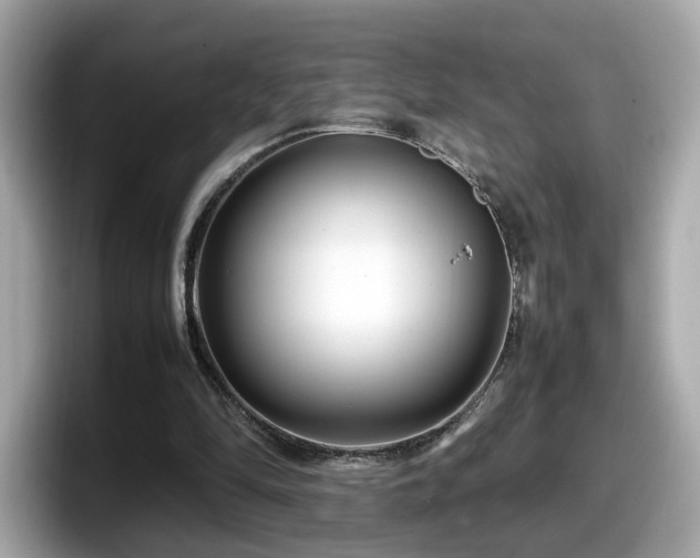 X0000098080294200804110948