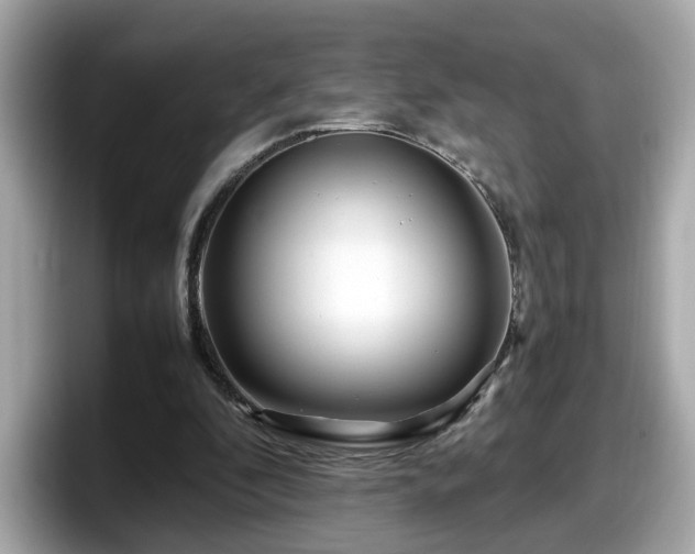 X0000098080296200804110948