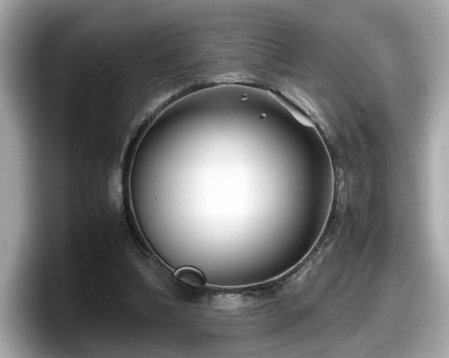 X0000098080298200804110948