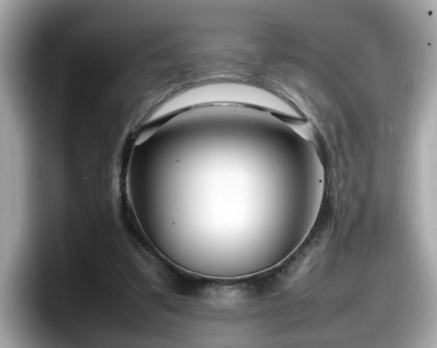 X0000098080299200804110948