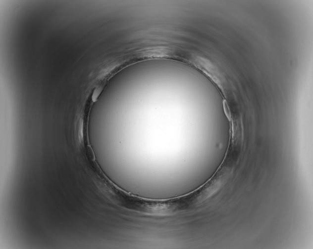 X0000098080301200804110948