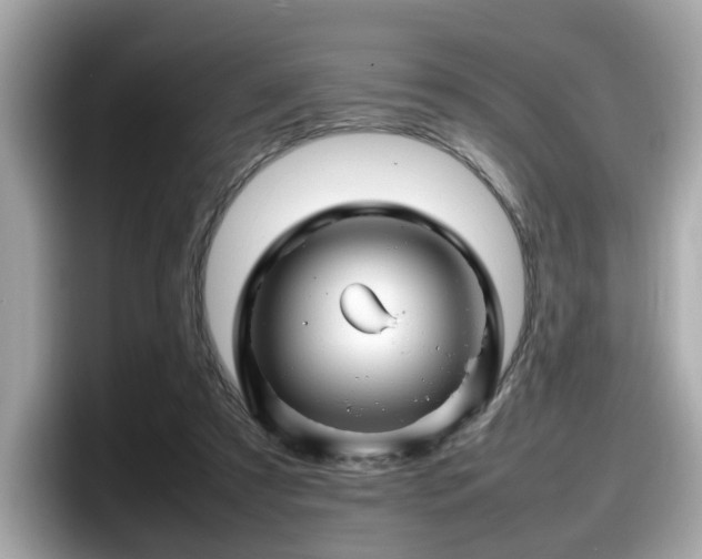 X0000098080305200804110948