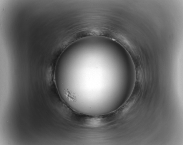X0000098080318200804110948