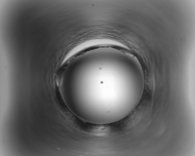 X0000098080319200804110948