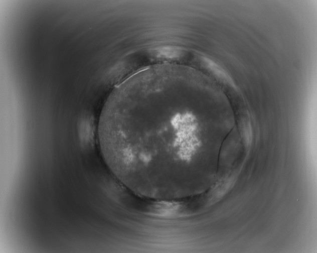 X0000098080328200804110947