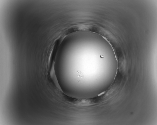 X0000098080329200804110947