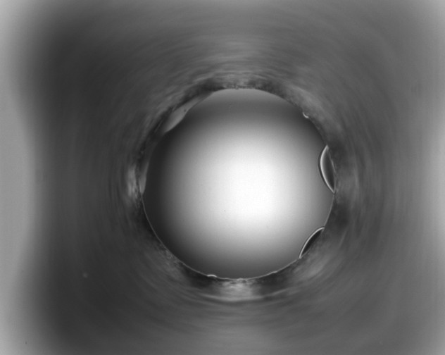 X0000098080335200804110947