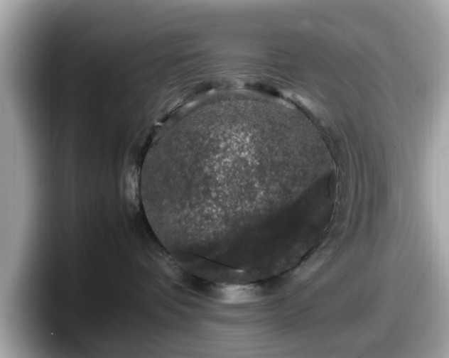 X0000098080336200804110947