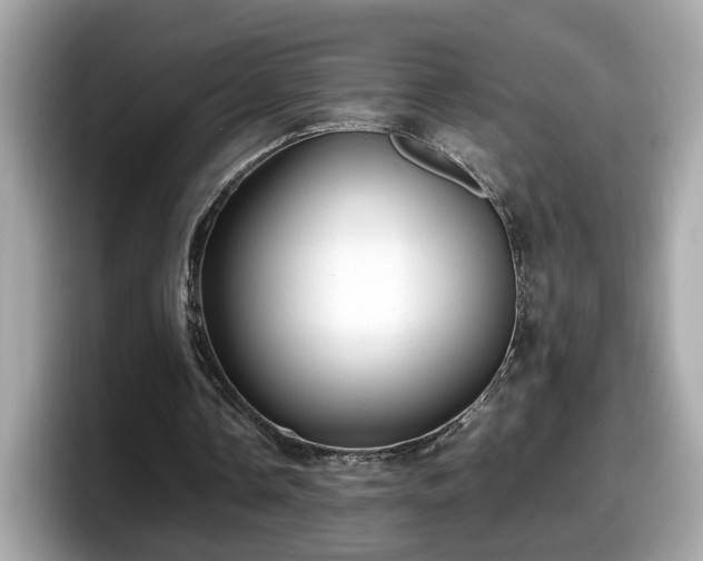 X0000098080338200804110947