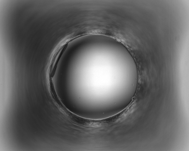 X0000098080341200804110947