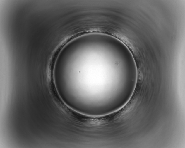 X0000098080347200804110947