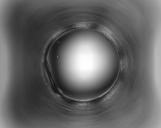 X0000098080349200804110947