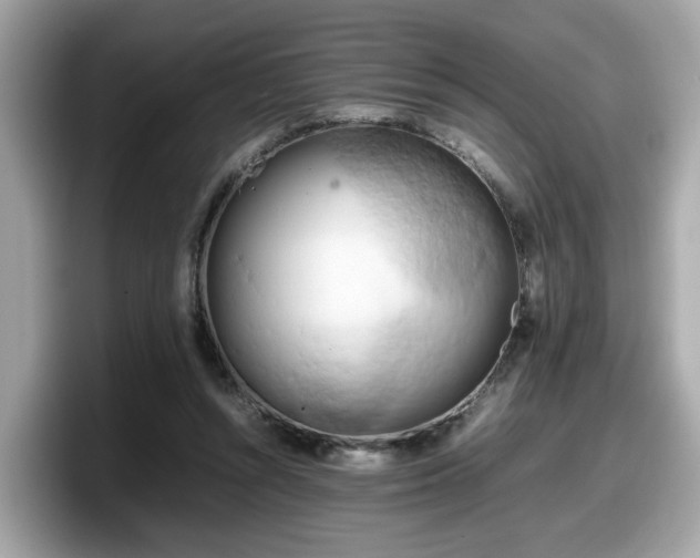 X0000098080352200804110947