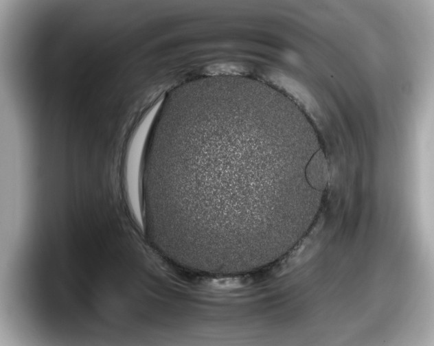 X0000098080353200804110947