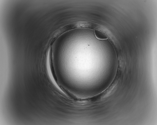 X0000098080357200804110947