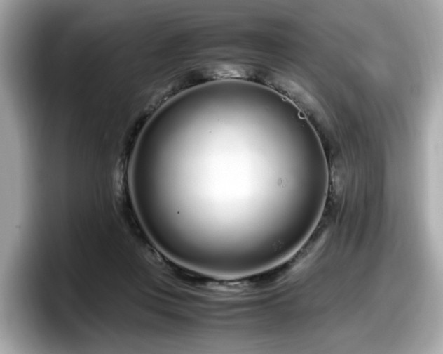X0000098080359200804110947