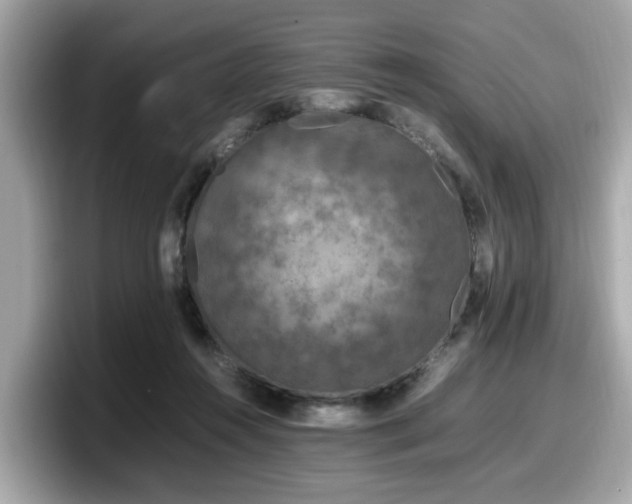 X0000098080360200804110947