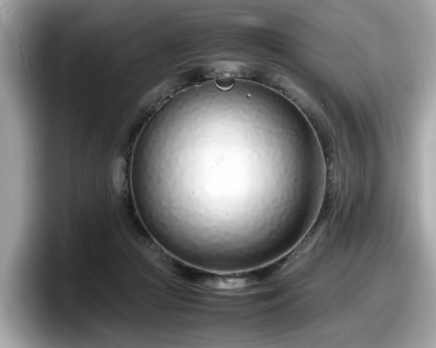 X0000098080361200804110947