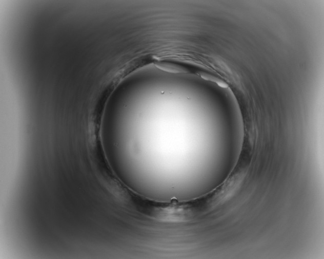 X0000098080366200804110947