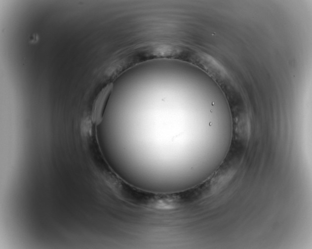 X0000098080368200804110947