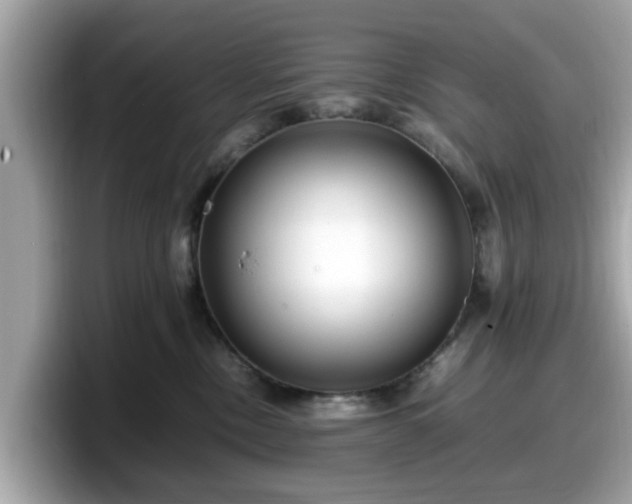 X0000098080378200804110947