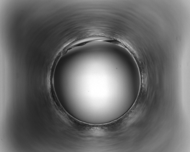 X0000098080390200804110947