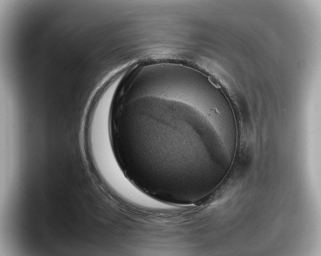 X0000098080391200804110947