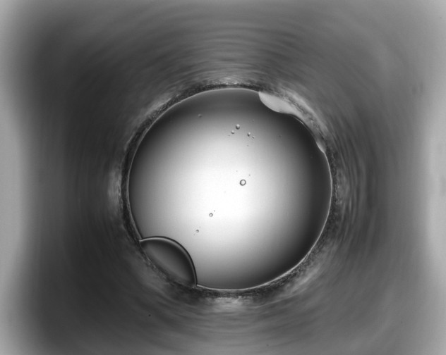 X0000098080394200804110947