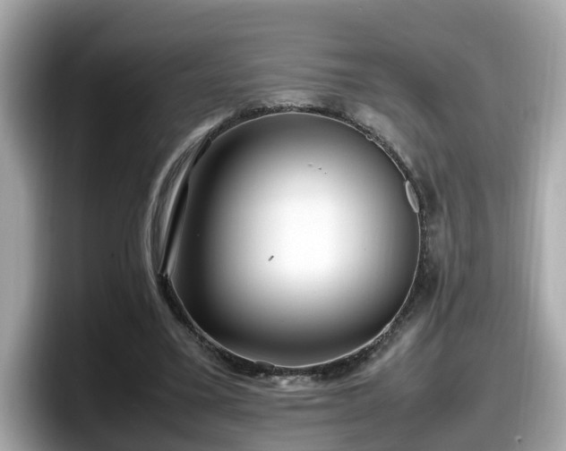 X0000098080395200804110947