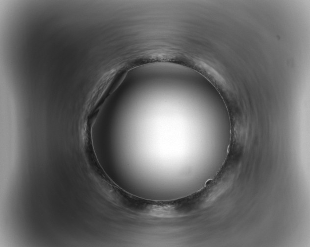 X0000098080403200804110946