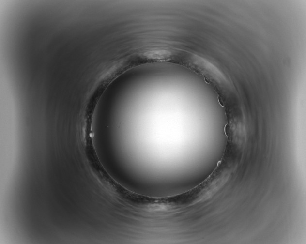 X0000098080404200804110946