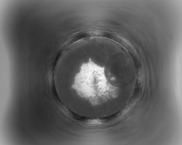 X0000098080409200804110946