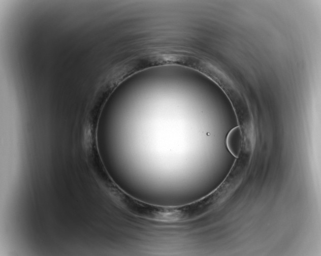 X0000098080410200804110946